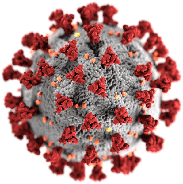 COVID-19 virus